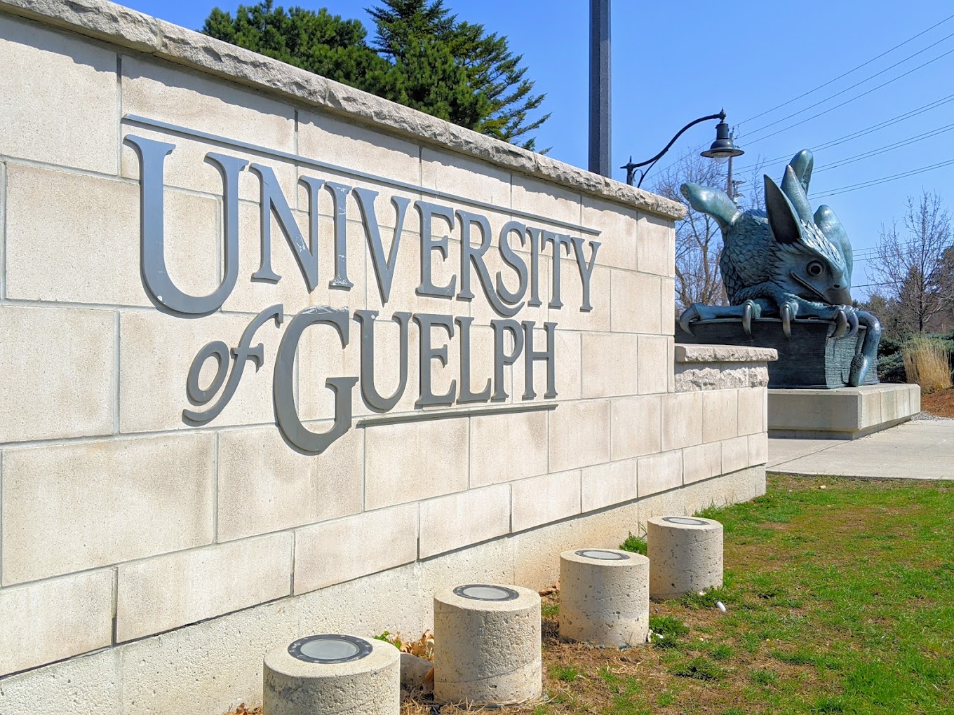 
	University of Guelph Fully Funded Scholarship in Canada
