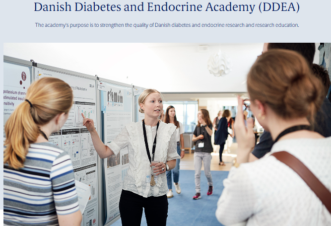 
	Denmark DDEA PhD Scholarships 
